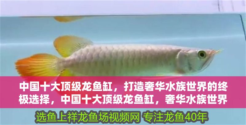 中國十大頂級龍魚缸，打造奢華水族世界的終極選擇，中國十大頂級龍魚缸，奢華水族世界的終極之選 中國十大頂級龍魚缸，打造奢華水族世界的終極選擇，中國十大頂級龍魚缸，奢華水族世界的終極之選 龍魚常見疾病 第1張