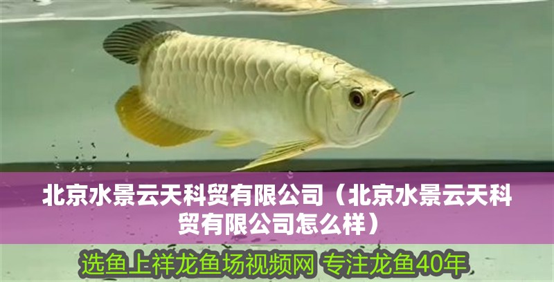 北京水景云天科貿(mào)有限公司（北京水景云天科貿(mào)有限公司怎么樣）
