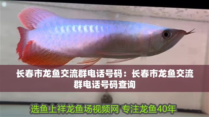 長春市龍魚交流群電話號碼：長春市龍魚交流群電話號碼查詢