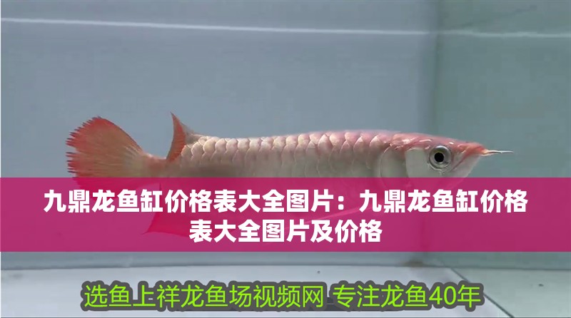 九鼎龍魚缸價格表大全圖片：九鼎龍魚缸價格表大全圖片及價格 九鼎龍魚缸價格表大全圖片：九鼎龍魚缸價格表大全圖片及價格 水族問答