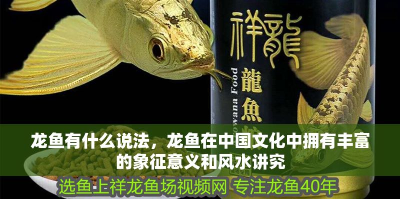龍魚有什么說法，龍魚在中國文化中擁有豐富的象征意義和風水講究