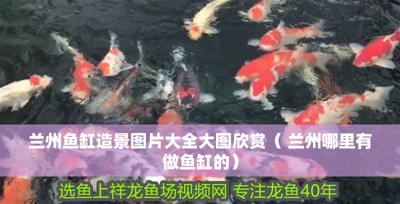 蘭州魚缸造景圖片大全大圖欣賞（ 蘭州哪里有做魚缸的） 蘭州魚缸造景圖片大全大圖欣賞（ 蘭州哪里有做魚缸的） 魟魚百科 第1張