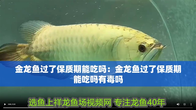 金龍魚過了保質期能吃嗎：金龍魚過了保質期能吃嗎有毒嗎