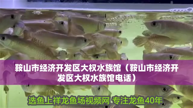 鞍山市經濟開發區大權水族館（鞍山市經濟開發區大權水族館電話） 鞍山市經濟開發區大權水族館（鞍山市經濟開發區大權水族館電話） 全國水族館企業名錄 第2張