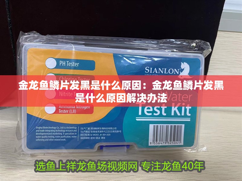 金龍魚鱗片發(fā)黑是什么原因：金龍魚鱗片發(fā)黑是什么原因解決辦法