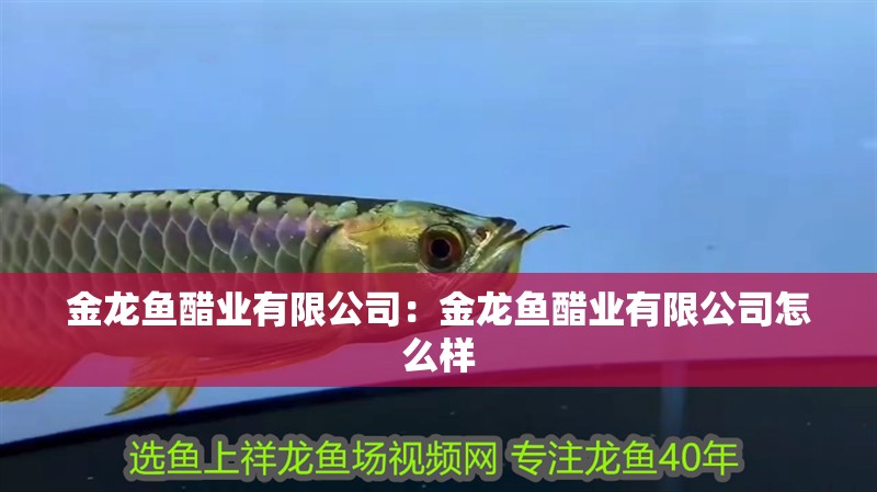 金龍魚醋業有限公司：金龍魚醋業有限公司怎么樣