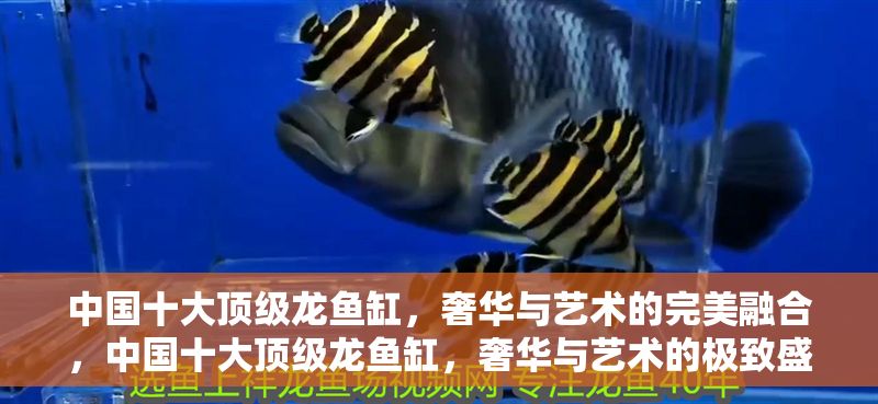 中國十大頂級龍魚缸，奢華與藝術的完美融合，中國十大頂級龍魚缸，奢華與藝術的極致盛宴 中國十大頂級龍魚缸，奢華與藝術的完美融合，中國十大頂級龍魚缸，奢華與藝術的極致盛宴 龍魚常見疾病 第1張