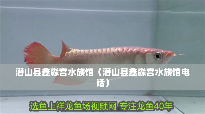 潛山縣鑫淼宮水族館（潛山縣鑫淼宮水族館電話）