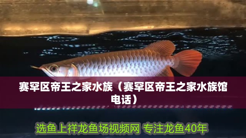 賽罕區帝王之家水族（賽罕區帝王之家水族館電話）