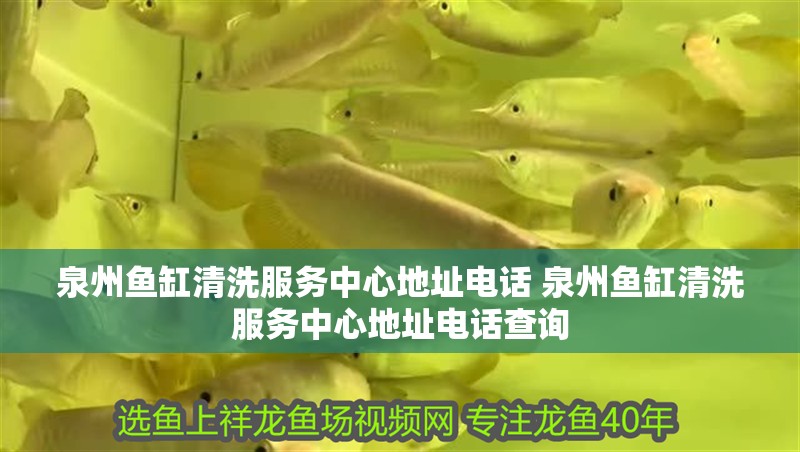 泉州魚缸清洗服務中心地址電話 泉州魚缸清洗服務中心地址電話查詢 全國水族館企業名錄 第2張 泉州魚缸清洗服務中心地址電話 泉州魚缸清洗服務中心地址電話查詢 泉州魚缸清洗服務中心地址電話 泉州魚缸清洗服務中心地址電話查詢 全國水族館企業名錄 第2張