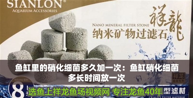魚缸里的硝化細菌多久加一次：魚缸硝化細菌多長時間放一次