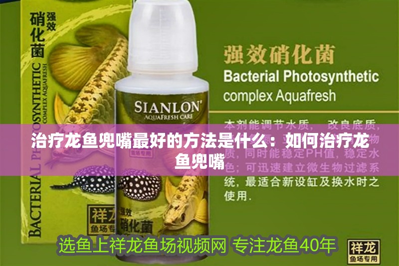 治療龍魚兜嘴最好的方法是什么：如何治療龍魚兜嘴