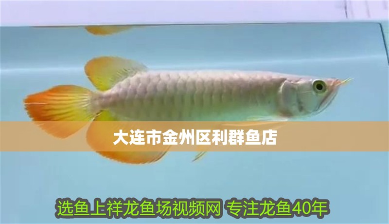 大連市金州區利群魚店
