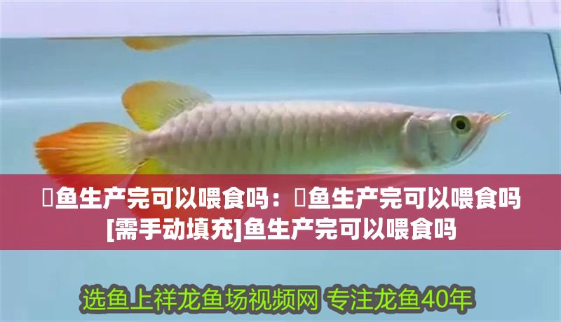 魟魚生產(chǎn)完可以喂食嗎：魟魚生產(chǎn)完可以喂食嗎[需手動填充]魚生產(chǎn)完可以喂食嗎