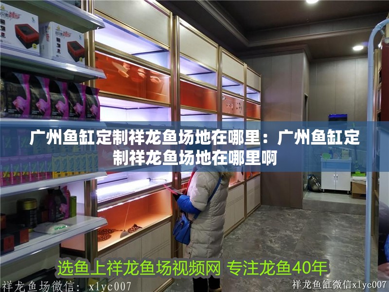 廣州魚缸定制祥龍魚場地在哪里：廣州魚缸定制祥龍魚場地在哪里啊 廣州魚缸定制祥龍魚場地在哪里：廣州魚缸定制祥龍魚場地在哪里啊 水族問答