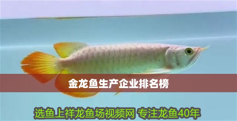 金龍魚生產企業排名榜