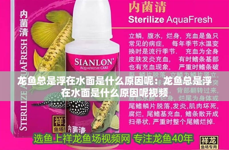 龍魚總是浮在水面是什么原因呢：龍魚總是浮在水面是什么原因呢視頻 龍魚總是浮在水面是什么原因呢：龍魚總是浮在水面是什么原因呢視頻 水族問答