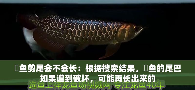 魟魚剪尾會不會長：根據搜索結果，魟魚的尾巴如果遭到破壞，可能再長出來的