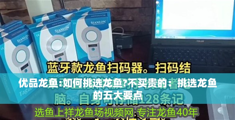 優品龍魚:如何挑選龍魚?不買貴的：挑選龍魚的五大要點