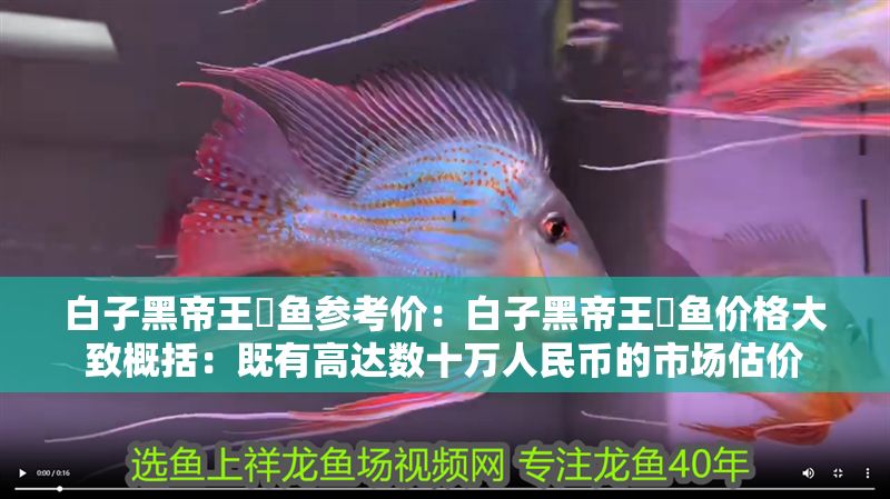 白子黑帝王魟魚參考價(jià)：白子黑帝王魟魚價(jià)格大致概括：既有高達(dá)數(shù)十萬(wàn)人民幣的市場(chǎng)估價(jià)