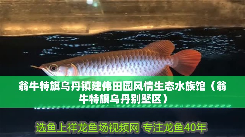 翁牛特旗烏丹鎮建偉田園風情生態水族館（翁牛特旗烏丹別墅區）