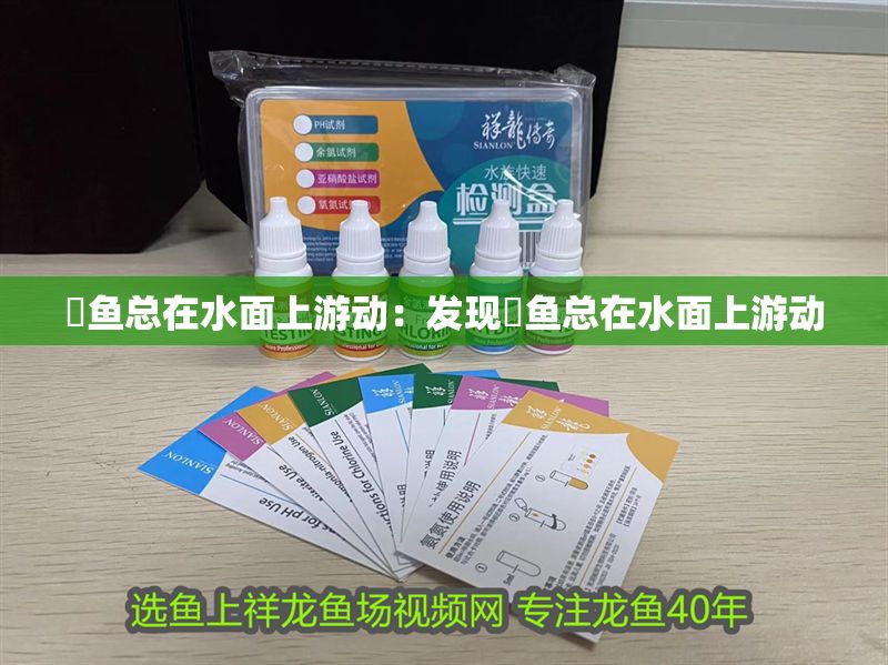 魟魚總在水面上游動：發(fā)現(xiàn)魟魚總在水面上游動