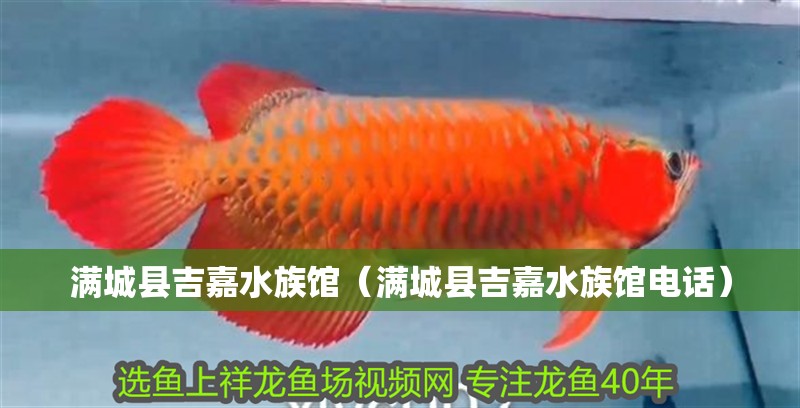滿城縣吉嘉水族館（滿城縣吉嘉水族館電話）