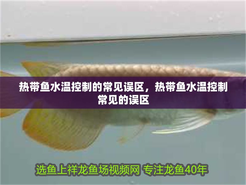 熱帶魚水溫控制的常見誤區，熱帶魚水溫控制常見的誤區