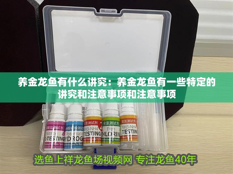 養金龍魚有什么講究：養金龍魚有一些特定的講究和注意事項和注意事項