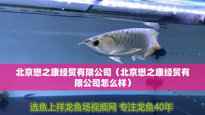 北京懋之康經(jīng)貿(mào)有限公司（北京懋之康經(jīng)貿(mào)有限公司怎么樣）