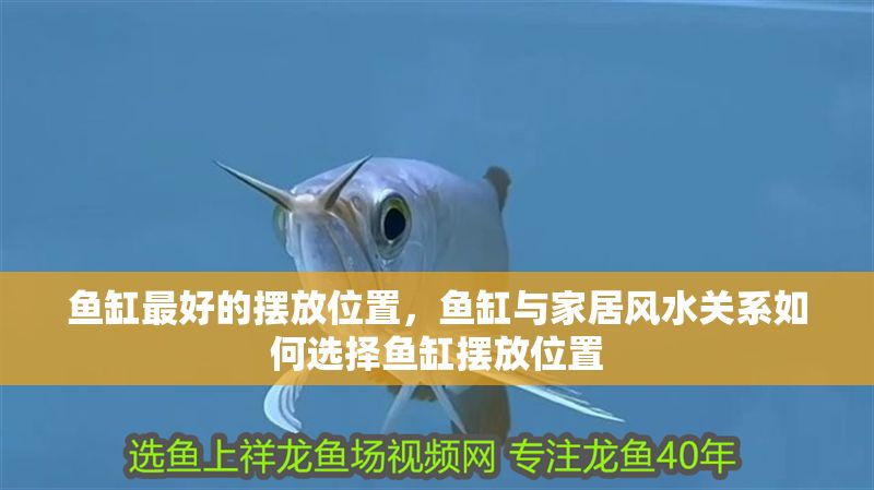 魚缸最好的擺放位置，魚缸與家居風水關系如何選擇魚缸擺放位置