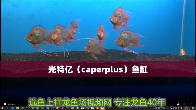 光特億（caperplus）魚缸