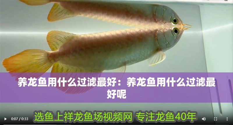 養龍魚用什么過濾最好：養龍魚用什么過濾最好呢