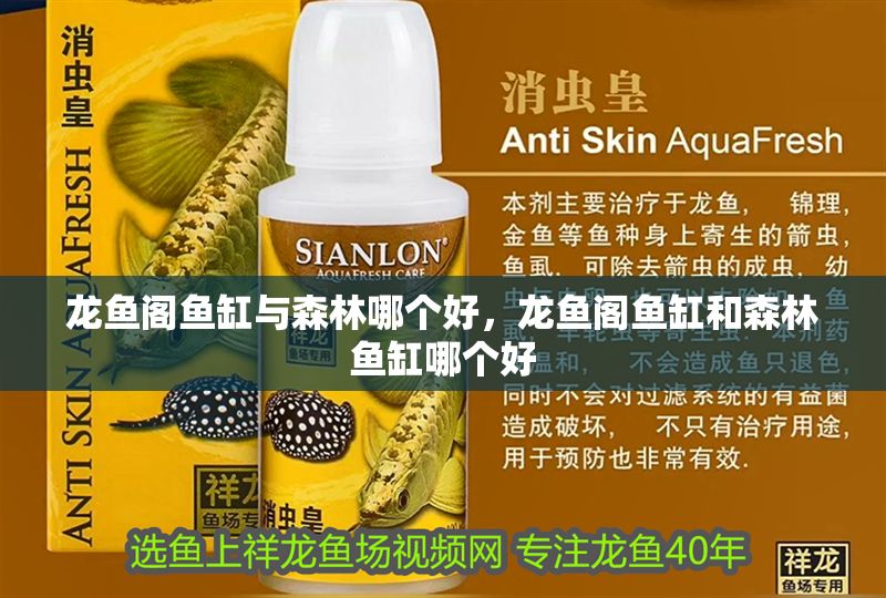 龍魚閣魚缸與森林哪個好，龍魚閣魚缸和森林魚缸哪個好 龍魚閣魚缸與森林哪個好，龍魚閣魚缸和森林魚缸哪個好 魚缸百科 第2張