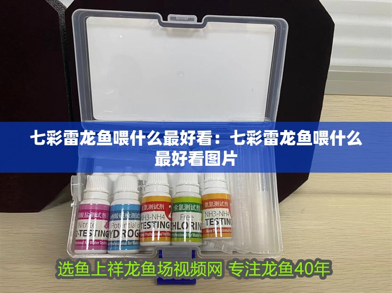 七彩雷龍魚喂什么最好看：七彩雷龍魚喂什么最好看圖片