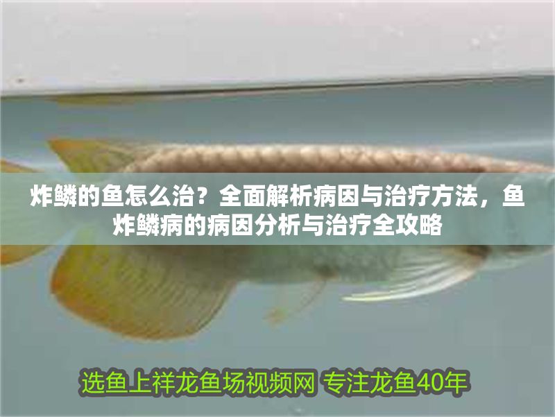 炸鱗的魚怎么治？全面解析病因與治療方法，魚炸鱗病的病因分析與治療全攻略