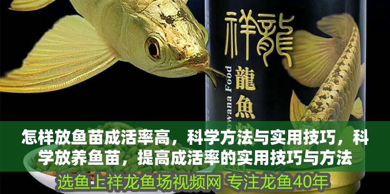 怎樣放魚苗成活率高，科學方法與實用技巧，科學放養魚苗，提高成活率的實用技巧與方法