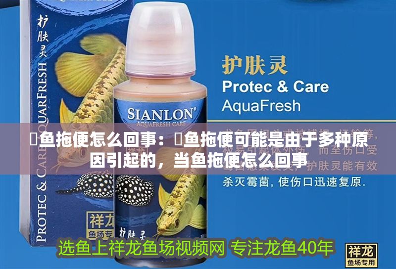 魟魚拖便怎么回事：魟魚拖便可能是由于多種原因引起的，當魚拖便怎么回事