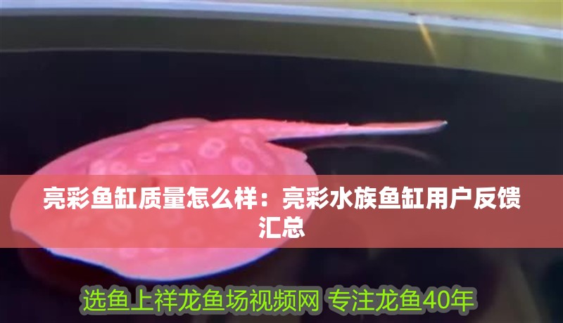 亮彩魚缸質(zhì)量怎么樣：亮彩水族魚缸用戶反饋匯總