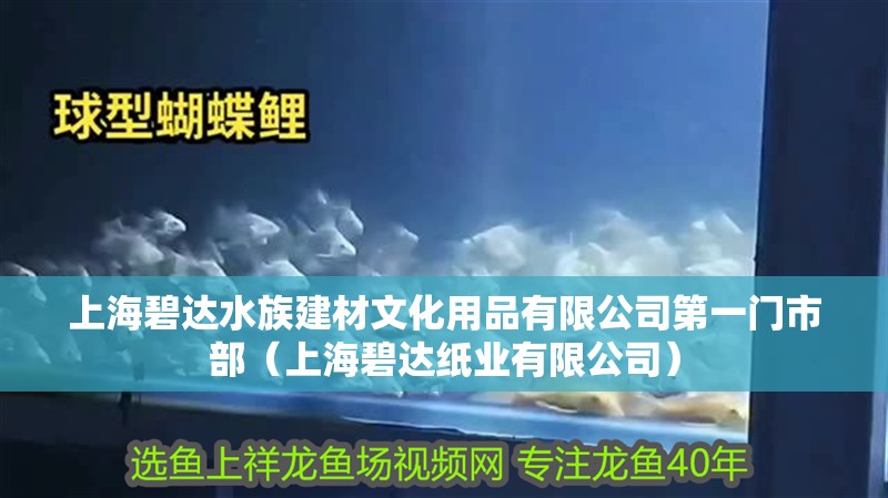 上海碧達水族建材文化用品有限公司第一門市部（上海碧達紙業有限公司） 上海碧達水族建材文化用品有限公司第一門市部（上海碧達紙業有限公司） 全國水族館企業名錄 第1張
