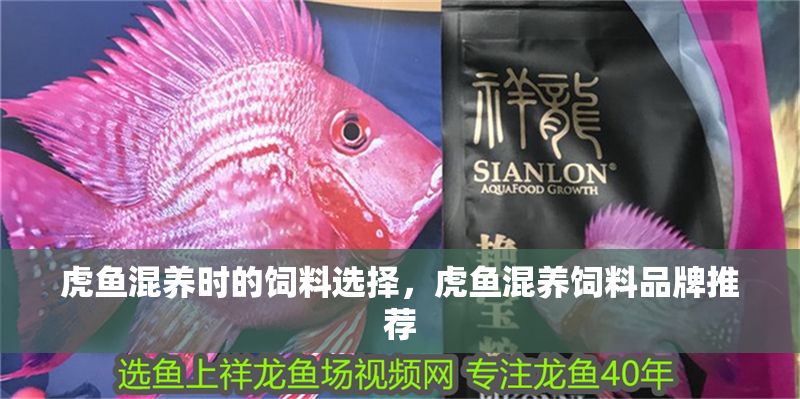 虎魚混養(yǎng)時(shí)的飼料選擇，虎魚混養(yǎng)飼料品牌推薦