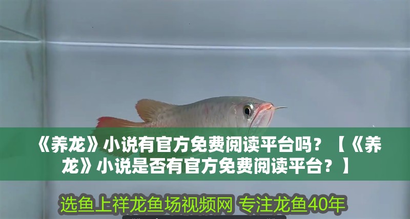 《養龍》小說有官方免費閱讀平臺嗎？【《養龍》小說是否有官方免費閱讀平臺？】