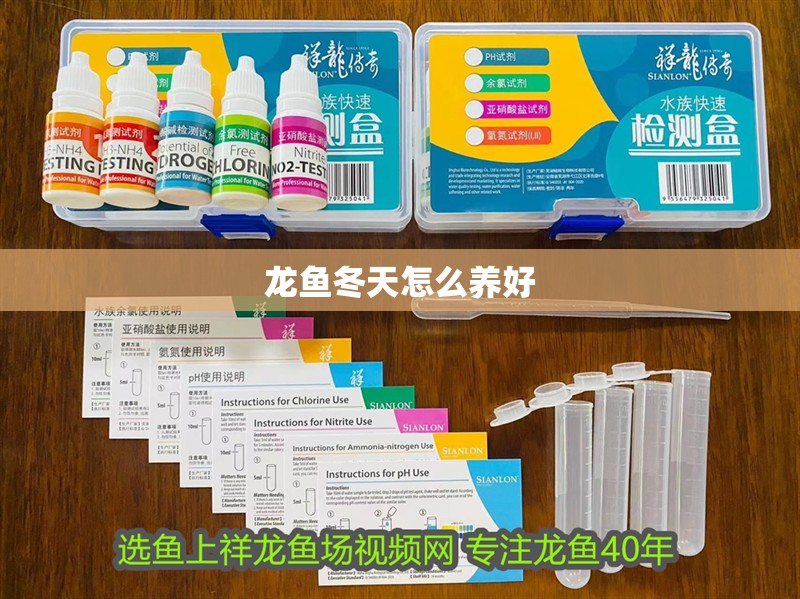 龍魚冬天怎么養好