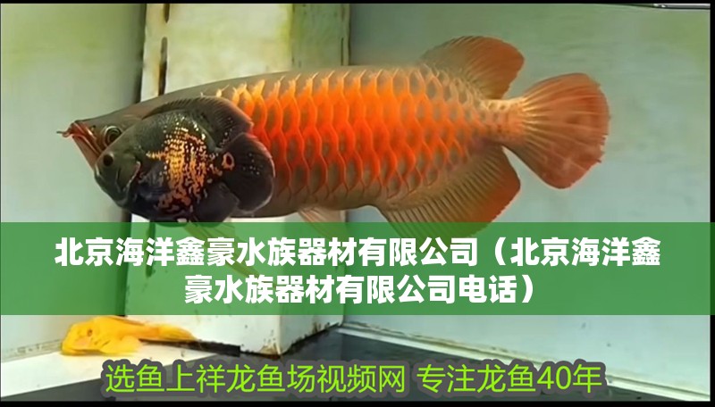 北京海洋鑫豪水族器材有限公司（北京海洋鑫豪水族器材有限公司電話） 北京海洋鑫豪水族器材有限公司（北京海洋鑫豪水族器材有限公司電話） 全國水族館企業名錄 第1張