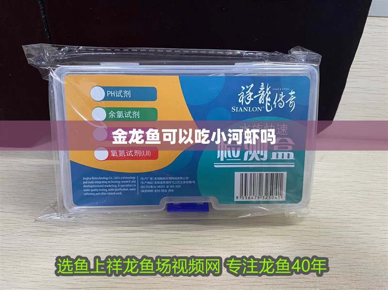 金龍魚可以吃小河蝦嗎