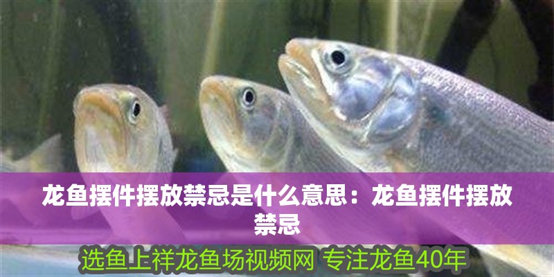 龍魚擺件擺放禁忌是什么意思：龍魚擺件擺放禁忌
