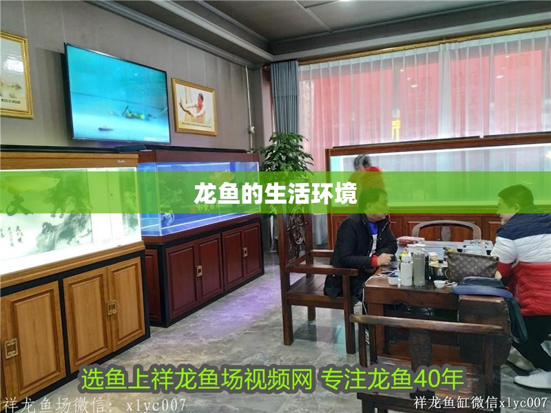 龍魚的生活環境
