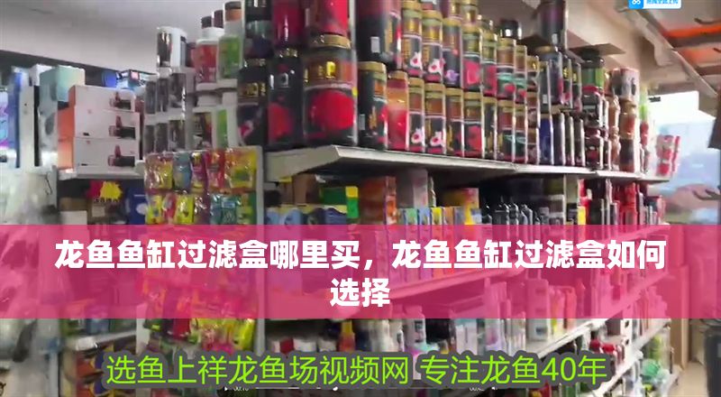 龍魚魚缸過濾盒哪里買，龍魚魚缸過濾盒如何選擇