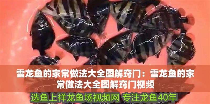 雪龍魚的家常做法大全圖解竅門：雪龍魚的家常做法大全圖解竅門視頻
