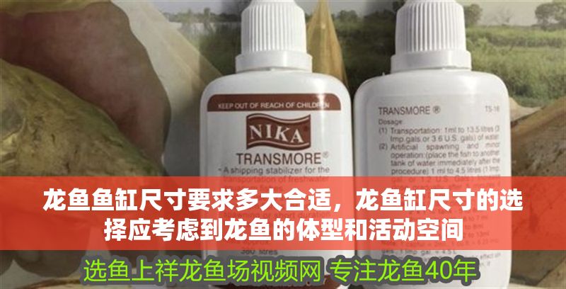 龍魚魚缸尺寸要求多大合適，龍魚缸尺寸的選擇應考慮到龍魚的體型和活動空間
